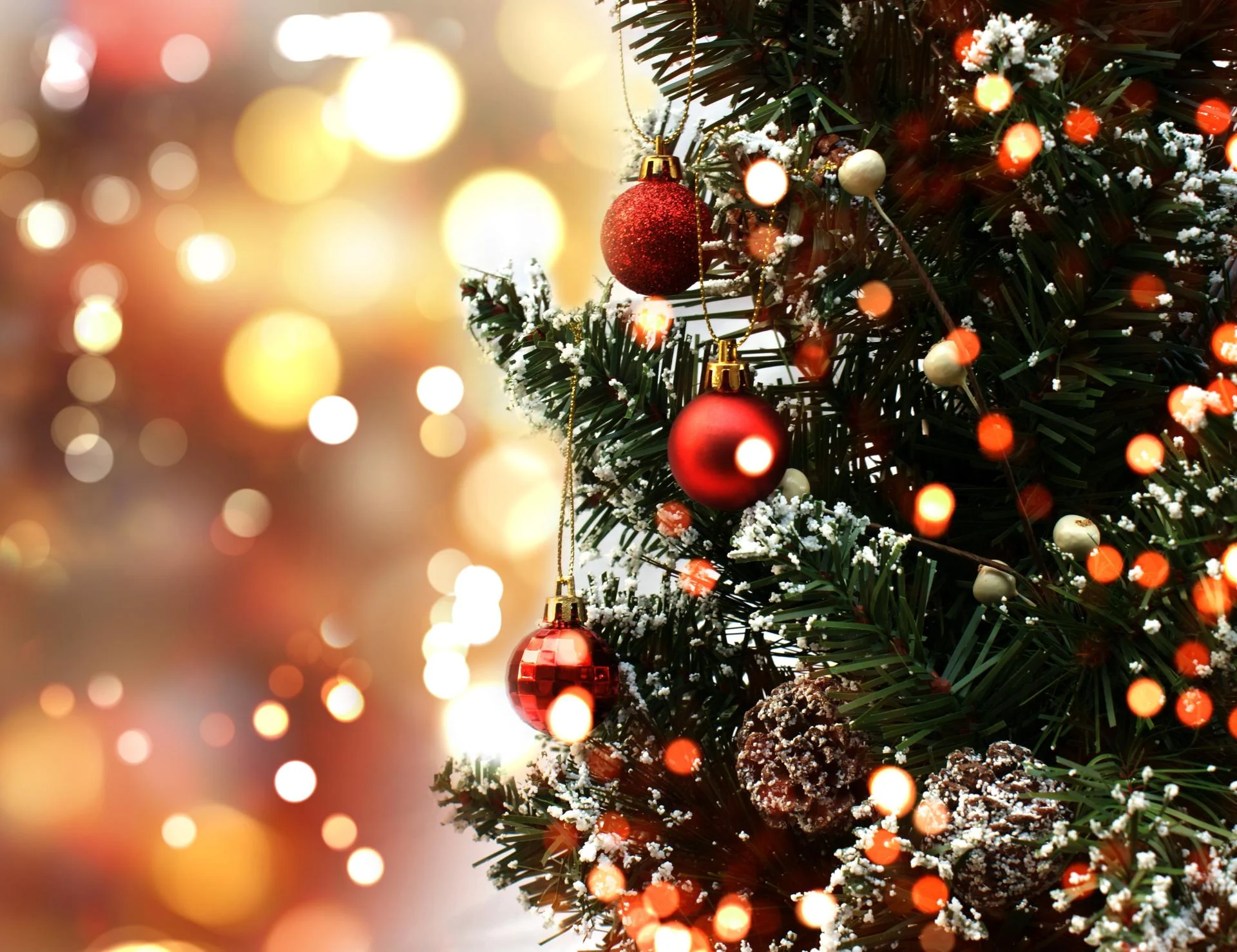 Arbre de noel